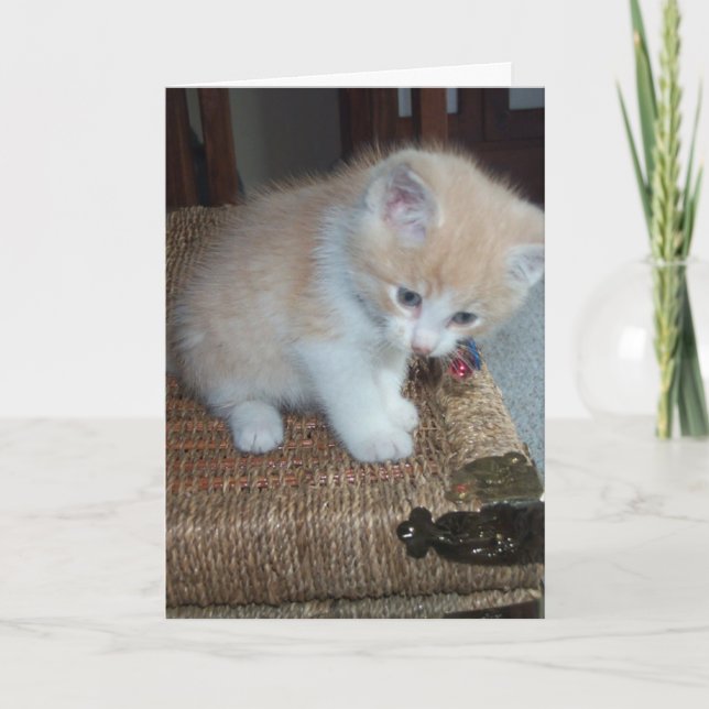 Kitty Birthday Card (Front)