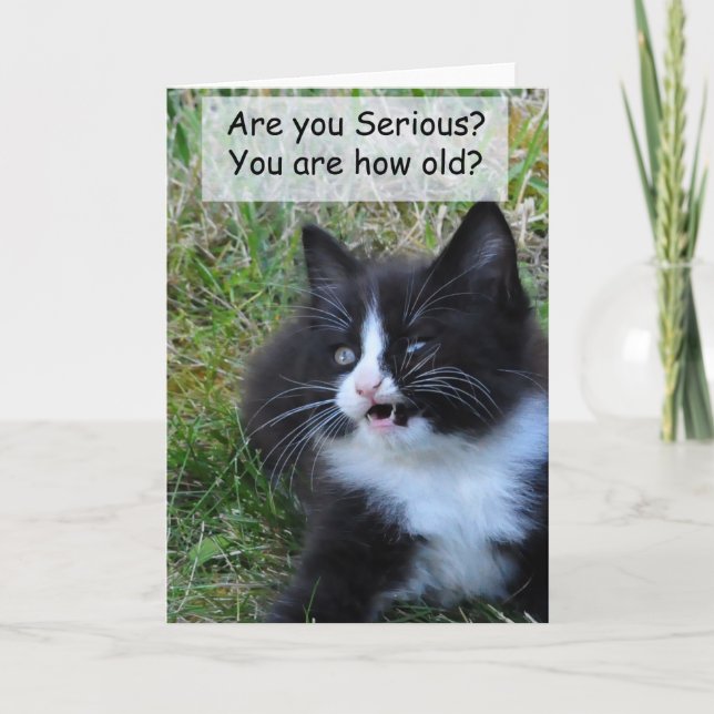 Kitty Birthday Card - Funny!!! (Front)
