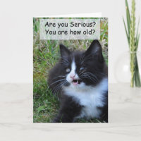 Kitty Birthday Card - Funny!!!