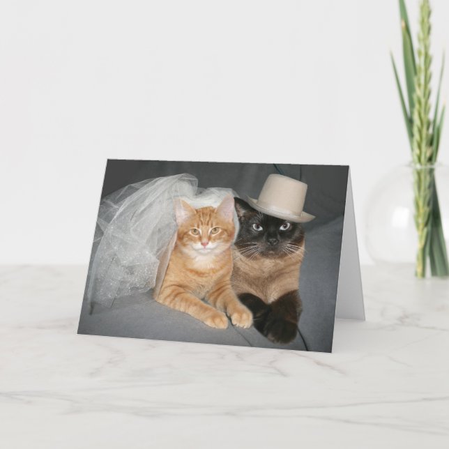 Kitty bride and groom card (Front)