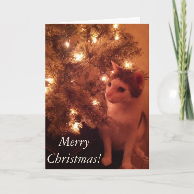 Kitty by the Christmas Tree Greeting Card (Front)