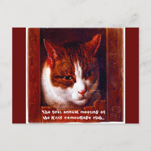 "Kitty camouflage club" Postcard
