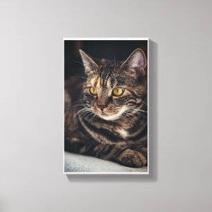 Kitty Canvas Print