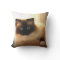 Kitty Cat Cats Ragdoll Ragdolls Blue Eyes Pillow