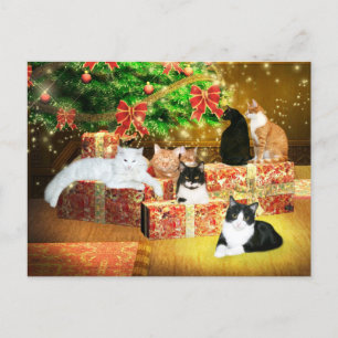 Kitty cat Christmas Holiday Postcard