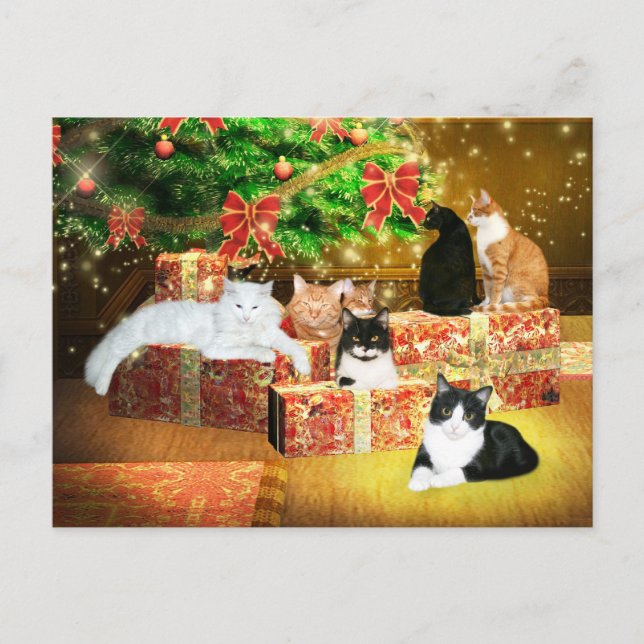 Kitty cat Christmas Holiday Postcard (Front)