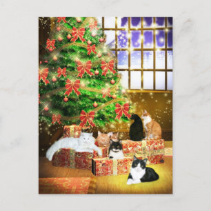 Kitty cat Christmas Holiday Postcard