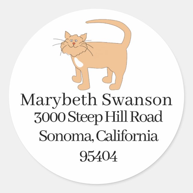 Kitty Cat  Classic Round Sticker (Front)