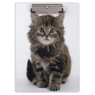 KITTY CAT CLIPBOARD