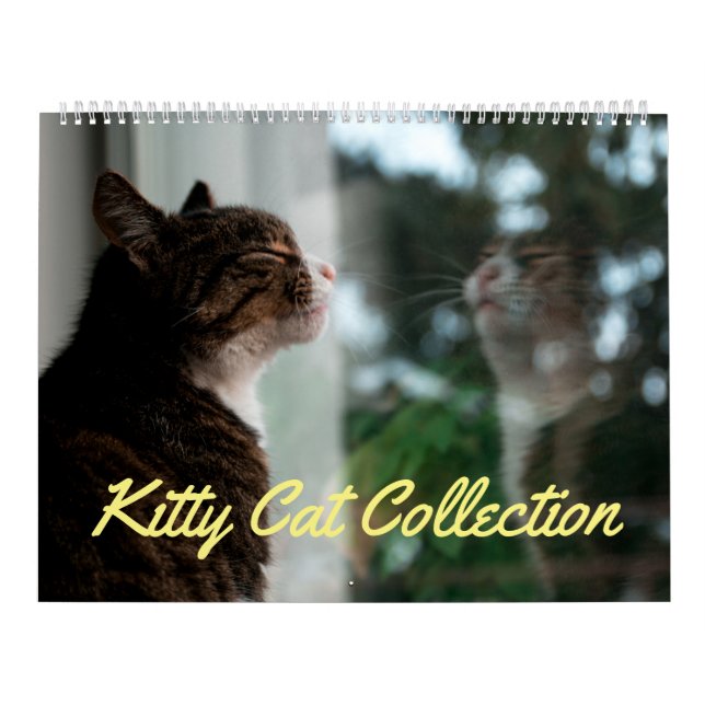 Kitty Cat Collection Calendar (Large) (Cover)