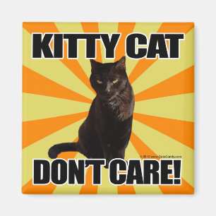 Kitty Cat Don't Care Magnet