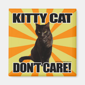 Kitty Cat Don't Care Magnet
