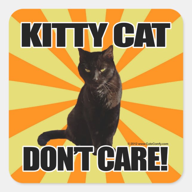 Kitty Cat Don't Care Square Sticker (Front)