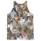 Kitty Cat Faces Pattern