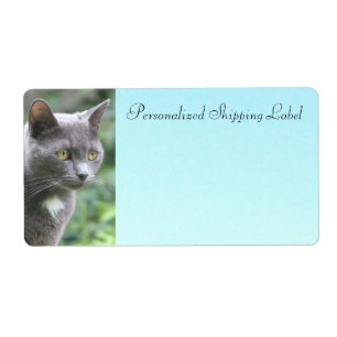 Kitty Cat In Grey
