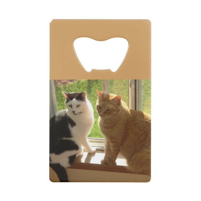 Kitty Cat Love (Front)