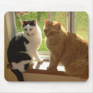 Kitty Cat Love Mouse Mat