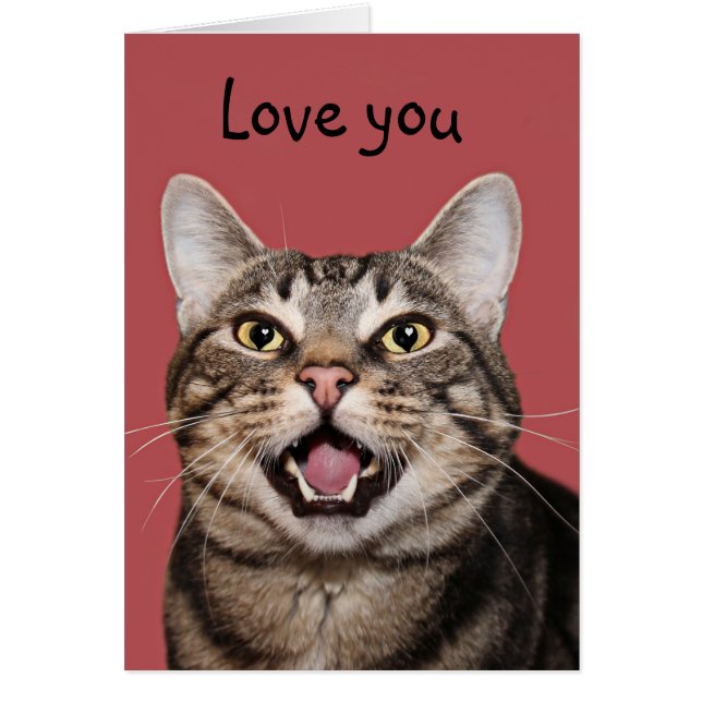 Kitty cat loves you (Front)