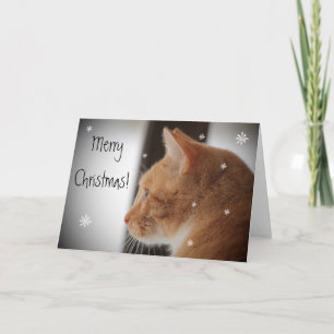 Kitty Cat Merry Christmas Holiday Card