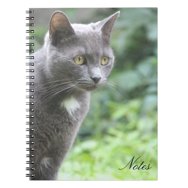 Kitty Cat Notebook (Front)