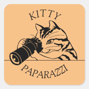Kitty Cat Paparazzi -Photographer Square Sticker