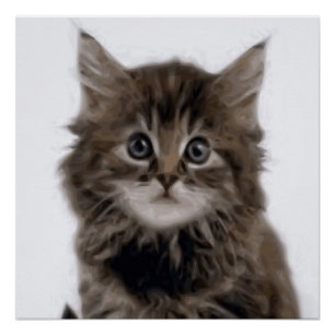KITTY CAT POSTER