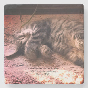 Kitty Cat Psalm 4:8 Stone Coaster