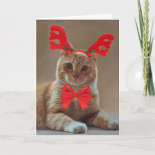 Kitty Cat Reindeer Christmas Holiday Card