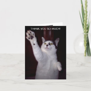 KITTY CAT THANK YOU CARD