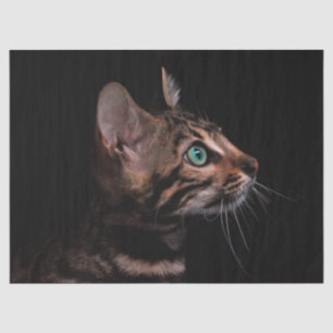 kitty cat tissue paper