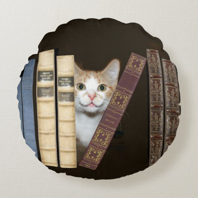Kitty cat with books round cushion (Front)