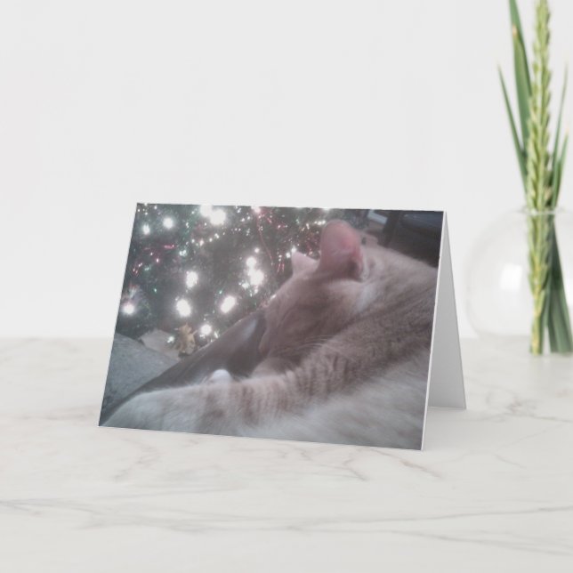 Kitty Christmas Card (Front)