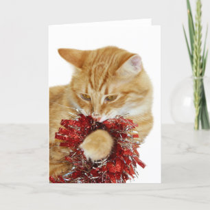 Kitty Christmas card