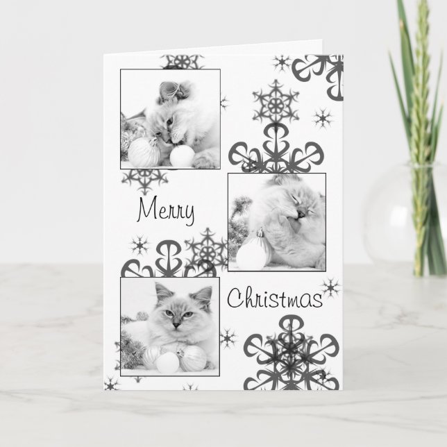 kitty christmas card (Front)