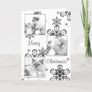 kitty christmas card
