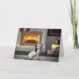 Kitty Christmas Holiday Card