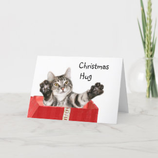 Kitty Christmas hug Holiday Card