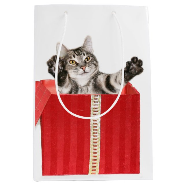 Kitty Christmas hug Medium Gift Bag (Front)