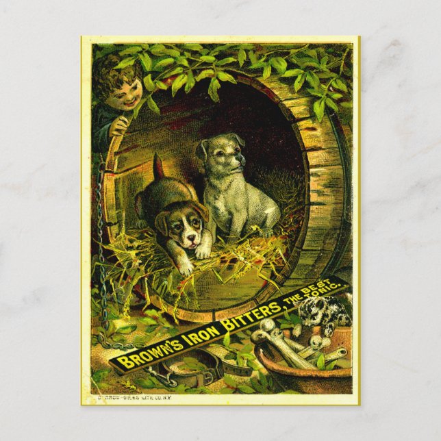 Kitty comes calling postcard (Front)