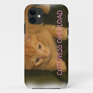 Kitty "CUTENESS OVERLOAD" iPhone 5 Case