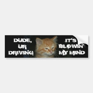 Kitty "DUDE DRIVIN BLOWIN' MY MIND" Bumper Sticker