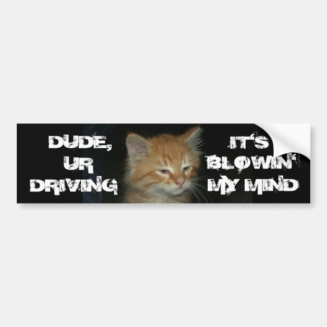 Kitty "DUDE DRIVIN BLOWIN' MY MIND" Bumper Sticker (Front)