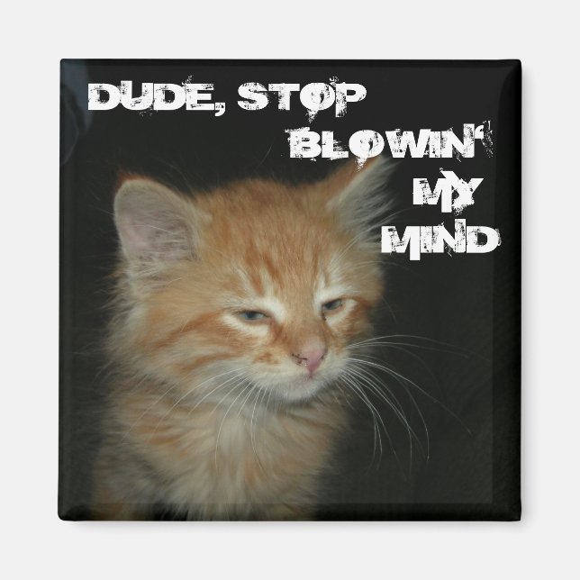 Kitty "DUDE, STOP BLOWIN' MY MIND" Magnet (Front)