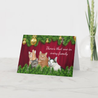 Kitty family Christmas Holiday Card