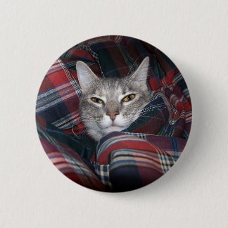 Kitty gets cosy. 6 cm round badge