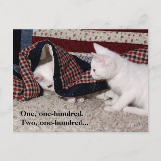 Kitty Hide-And-Seek Humour Post Card