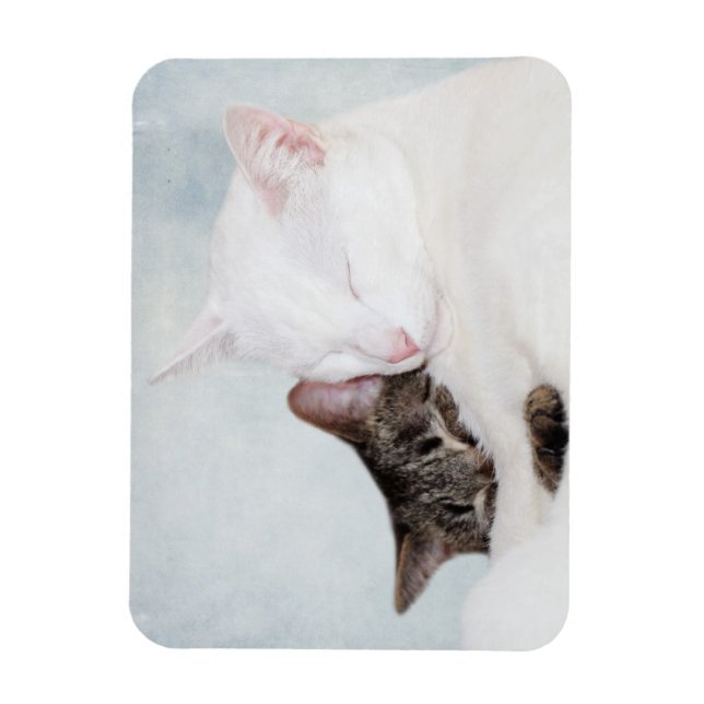 Kitty hug magnet (Vertical)