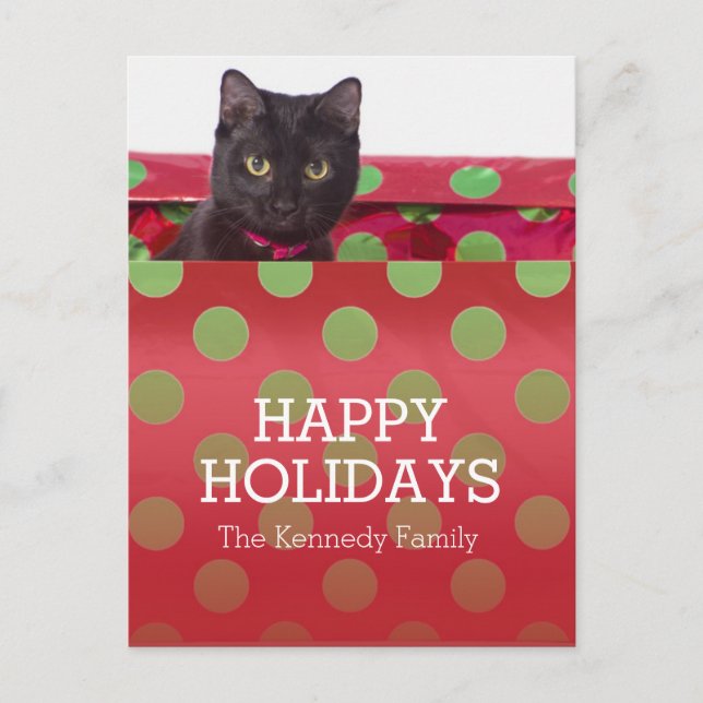 Kitty In Gift Box Holiday Postcard (Front)