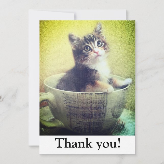 kitty in mug Thank You Card (Front)