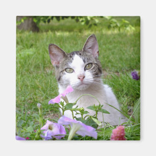 Kitty in the Flowers Magnet
